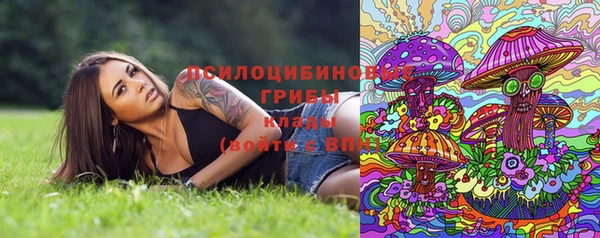 а пвп мука Армянск