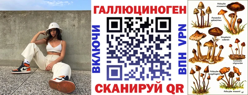 где купить наркотик  Касимов  Псилоцибиновые грибы мицелий 
